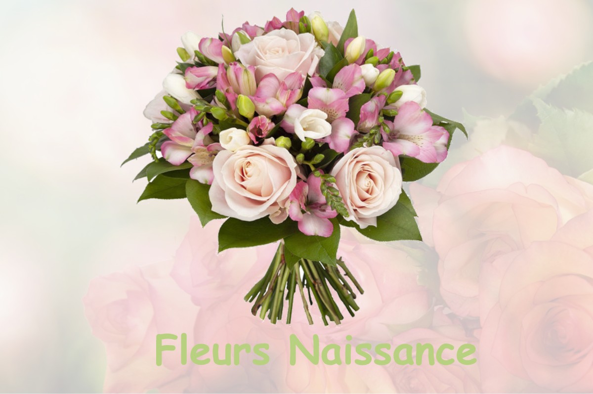 fleurs naissance SIMIANE-COLLONGUE